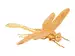Tierfigur Libelle Gold von Schlittler