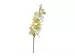 Kunstblume Orchidee Creme h: 67 cm von Edg