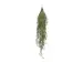 Kunstpflanze Kaktus H: 84 cm Edg