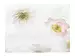 Duvetbezug Poppy-Noblesse Blanc Schlossberg Textil AG