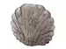 Vase Muschel Grau H: 17 cm Edg / Farbe: Grau