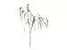 Kunstblume Eucalypthus H: 115 cm Edg