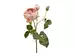 Rose Lavendel h: 57 cm Edg