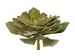 Kunstpflanze Echerverie Hellgrün d: 32 cm