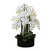 Kunstpflanze Orchideenpflanze mit Wurzelballen H: 93 cm Gasper