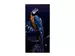 Bild Papagei in Blau 2 image LAND