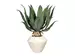 Kunstpflanze Agave Americana mit Keramikschale H: 60 cm Gasper