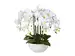 Kunstpflanze Phalaenopsis Weiss H: 54 cm Gasper / Farbe: Weiss