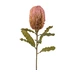Kunstblume Banksie Rosa H: 65 cm Gasper