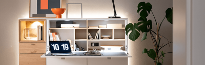 Ein Schreibtisch mit aufgeklappter Front, darüber Regale mit Büchern, Deko und einer Lampe. Auf dem Schreibtisch steht ein Laptop und Bürobedarf. Eine Zimmerpflanze steht daneben.