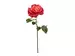 Kunstblumen Rose Dunkelrot H: 56 cm Edg