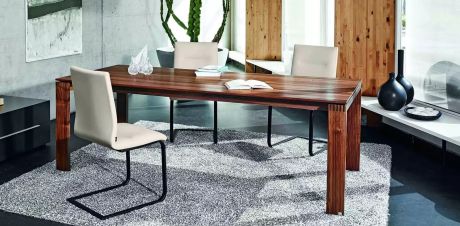 Esszimmer mit dunklem Holztisch auf grauem Teppich. Stühle mit hellem Bezug umgeben den Tisch, darauf Bücher und Glasobjekte. Im Hintergrund Pflanzgefäße und Dekoration auf einem Fensterbrett.