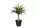 Kunstpflanze Aloe mit Stamm H: 45 cm Gasper